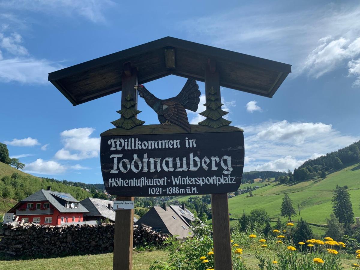 Residenz Schauinsland Todtnauberg - Fewo 17 - Sauna - Spielzimmer Fuer Kinder - Naehe Feldberg Exteriör bild