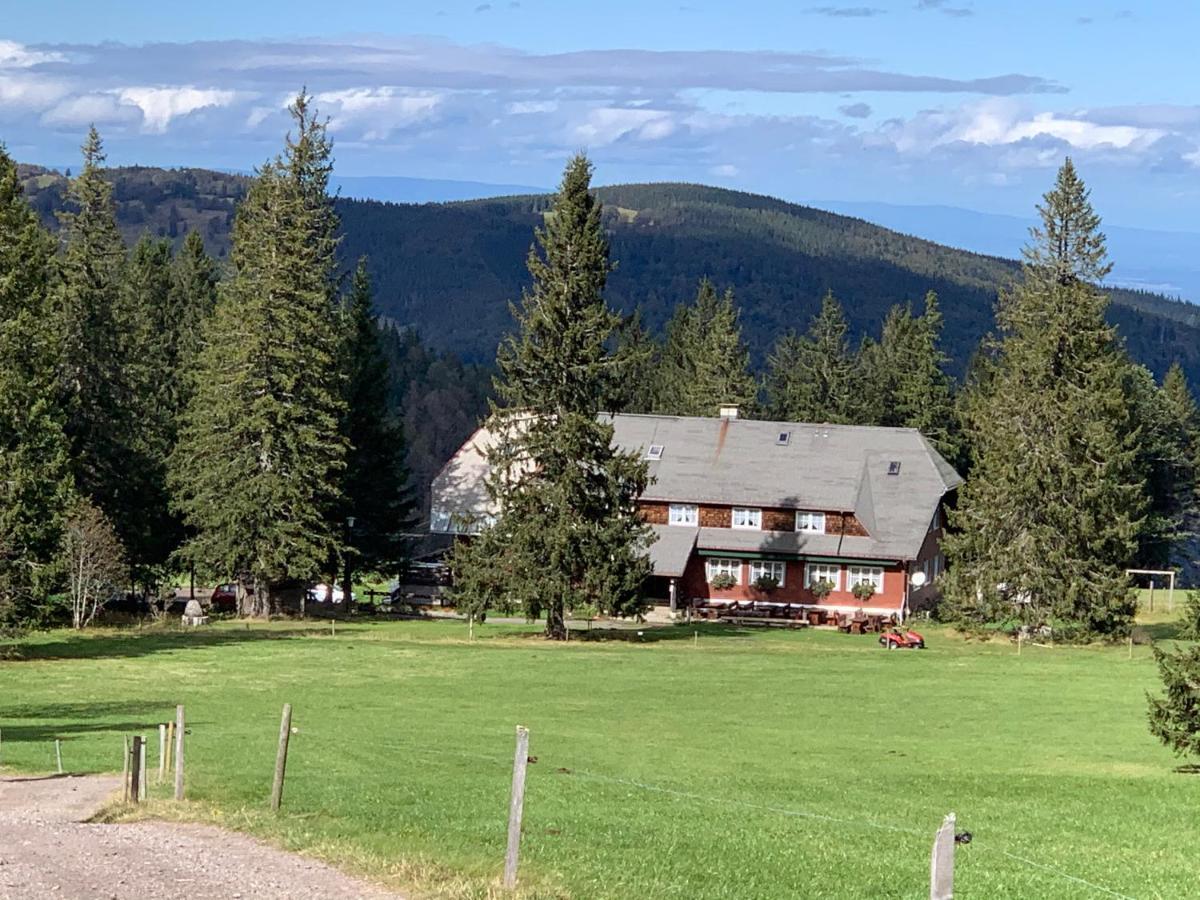 Residenz Schauinsland Todtnauberg - Fewo 17 - Sauna - Spielzimmer Fuer Kinder - Naehe Feldberg Exteriör bild