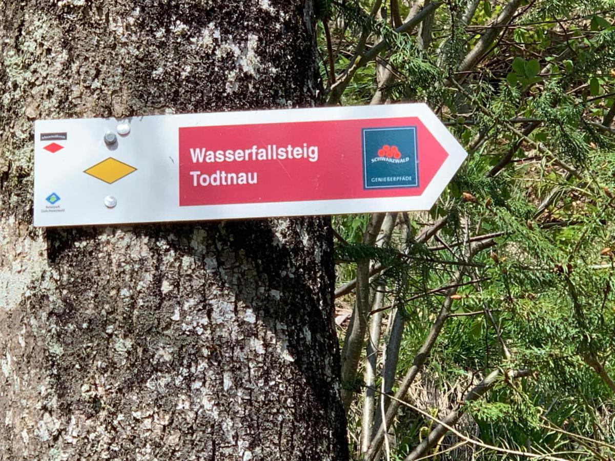Residenz Schauinsland Todtnauberg - Fewo 17 - Sauna - Spielzimmer Fuer Kinder - Naehe Feldberg Exteriör bild